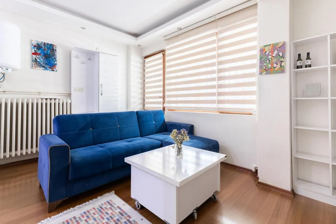 Convenient Flat 15 Min To Bagdat Avenue Apartment Istanbul