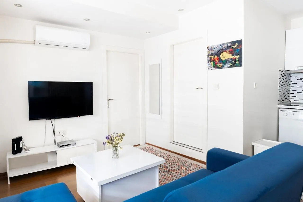 Convenient Flat 15 Min To Bagdat Avenue Apartment Istanbul Turkey