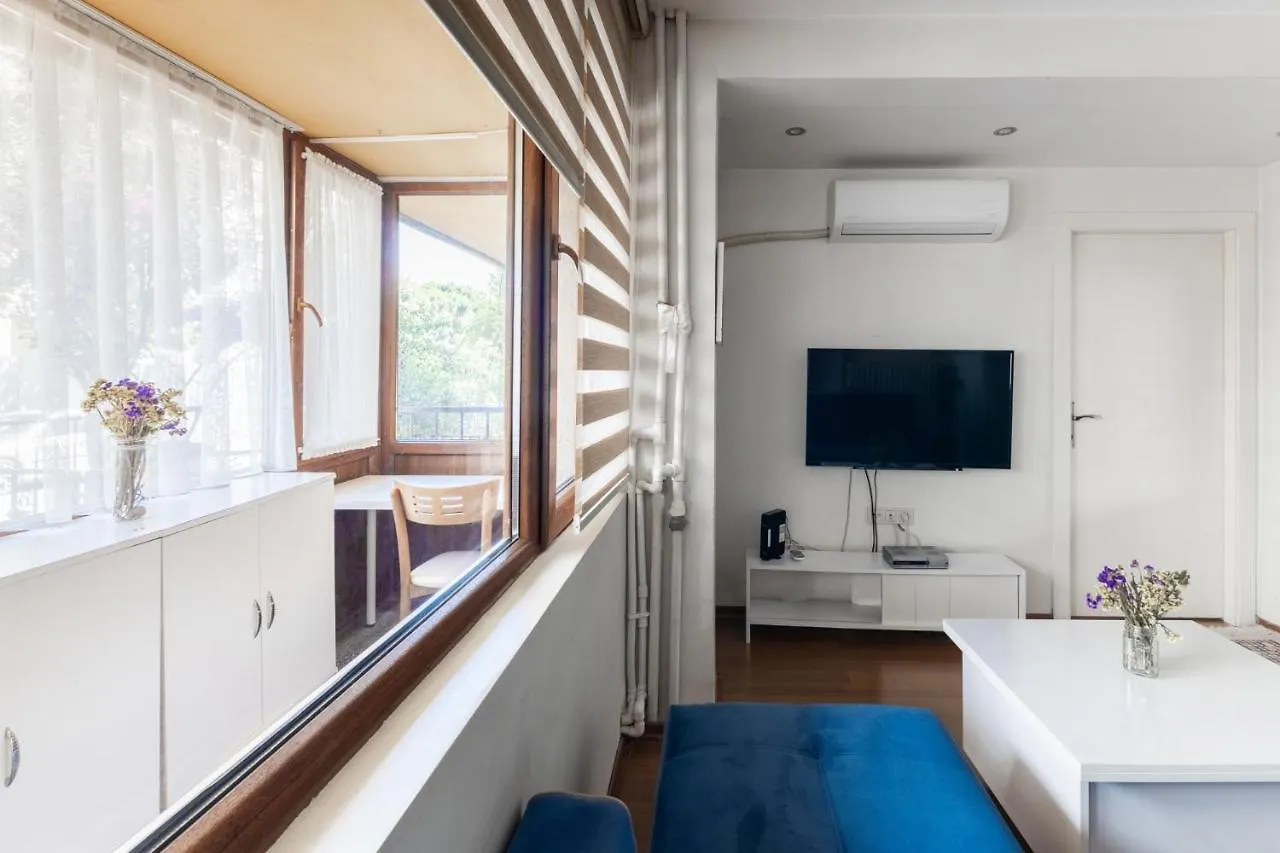 Convenient Flat 15 Min To Bagdat Avenue Apartment Istanbul